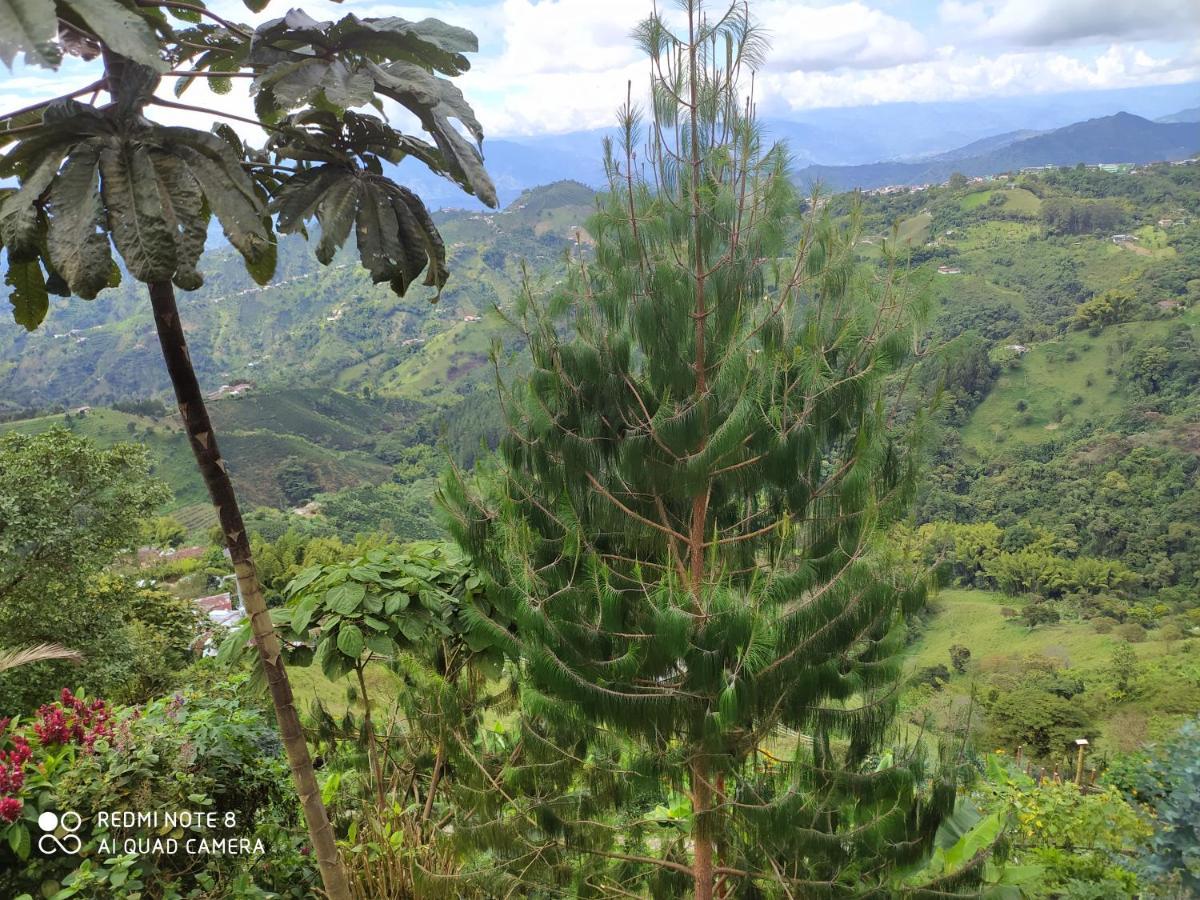 Mirador Finca Morrogacho Manizales Εξωτερικό φωτογραφία