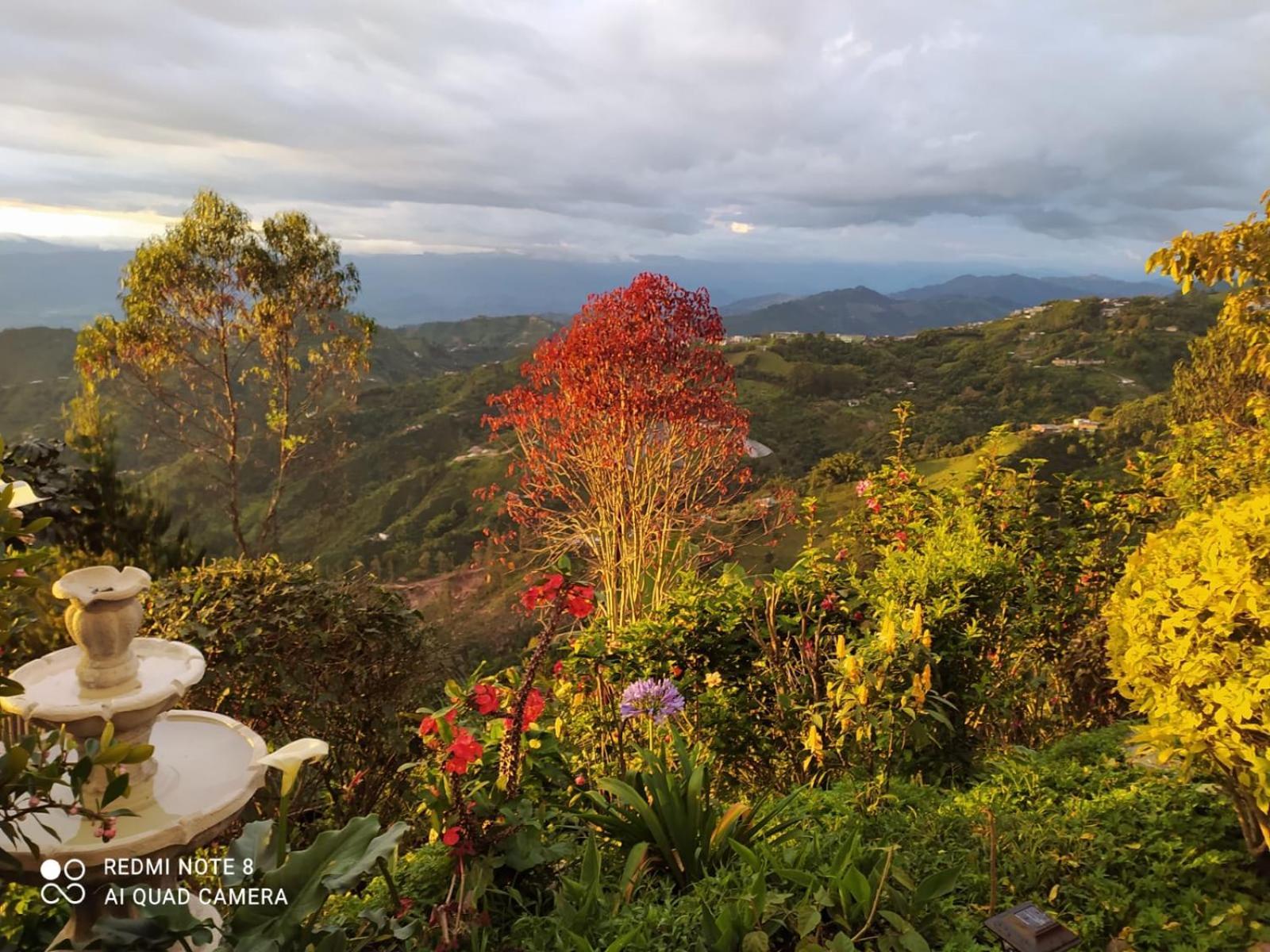 Mirador Finca Morrogacho Manizales Εξωτερικό φωτογραφία