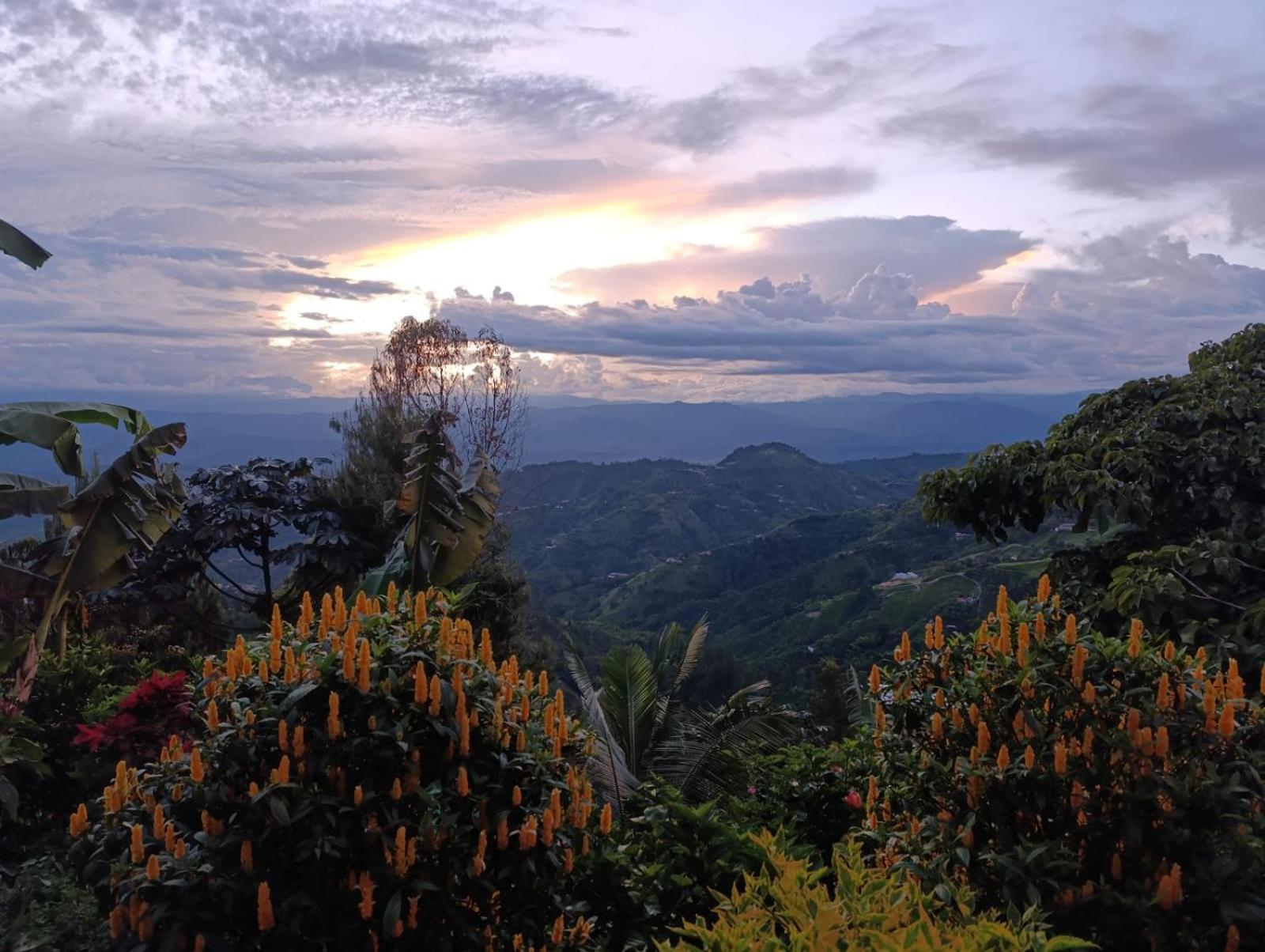 Mirador Finca Morrogacho Manizales Εξωτερικό φωτογραφία